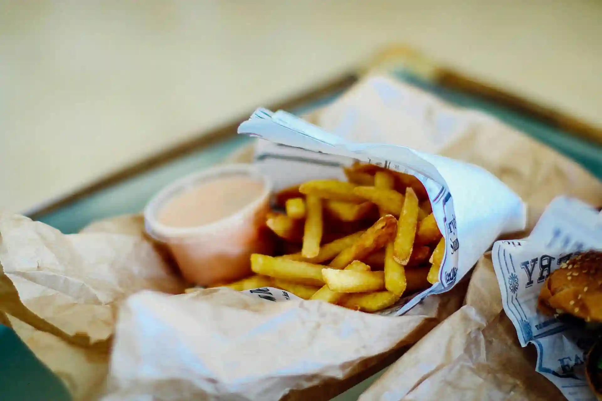 image of classic cut fries with special sauce on the side